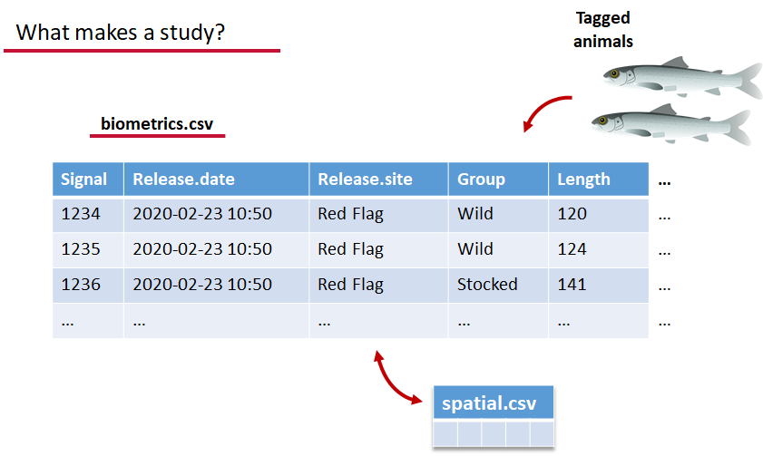 Biometrics.csv in Actel