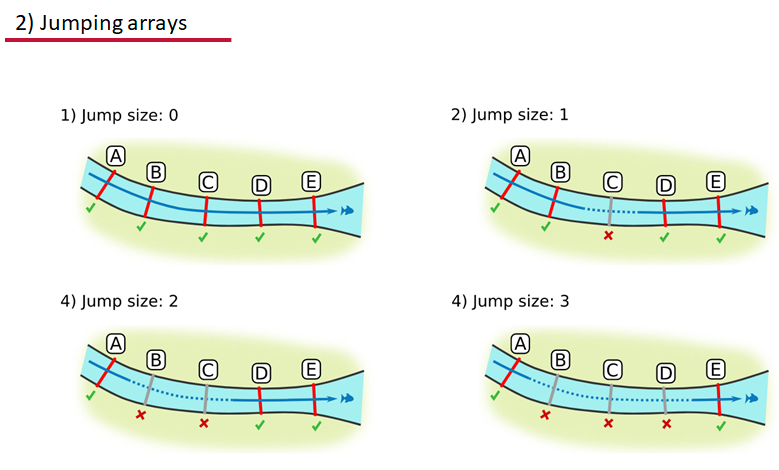 Actel jumping arrays illustration