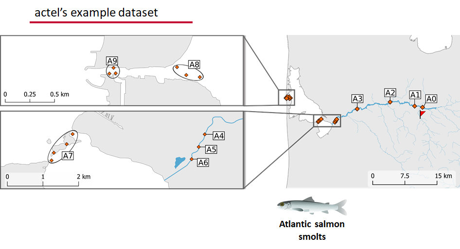 spatial extent of actel example data