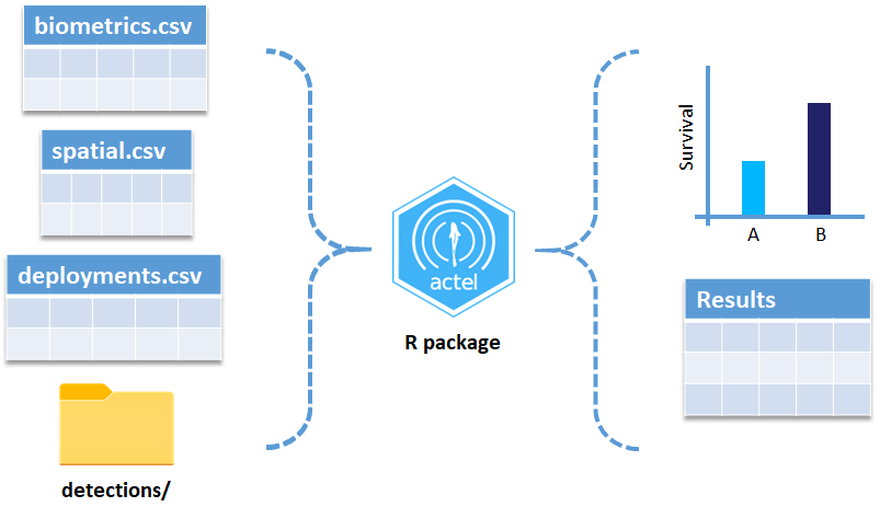 Actel inputs and outputs