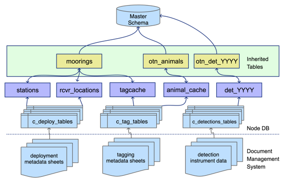 OTN Database - structural ER diagram