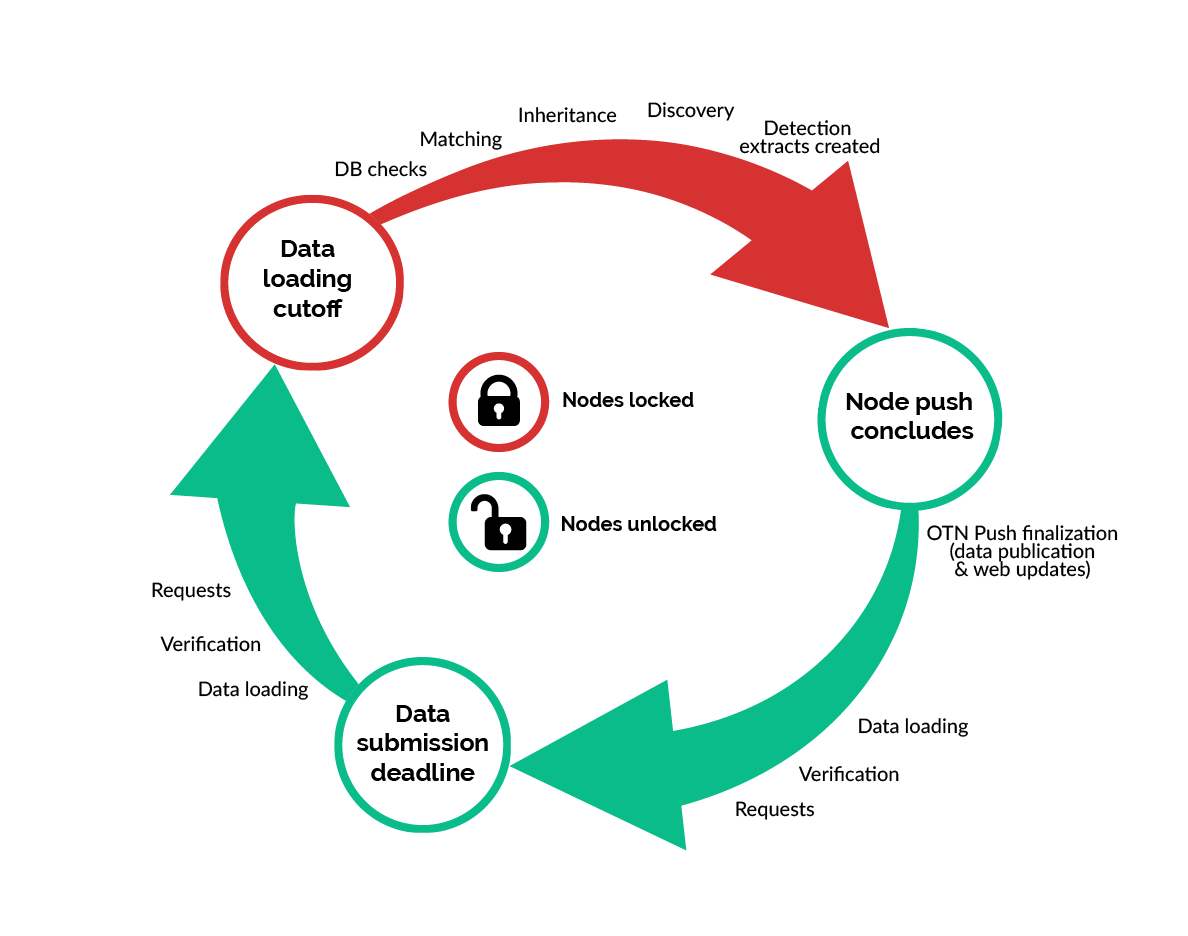 The Cycle of the Push