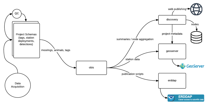 OTN Database - path of data through the system